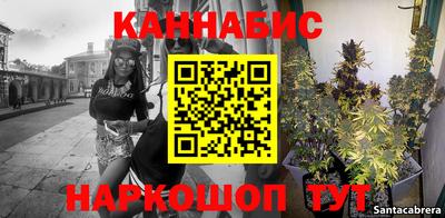стафф Можга