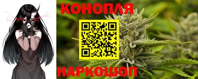 СК Моздок