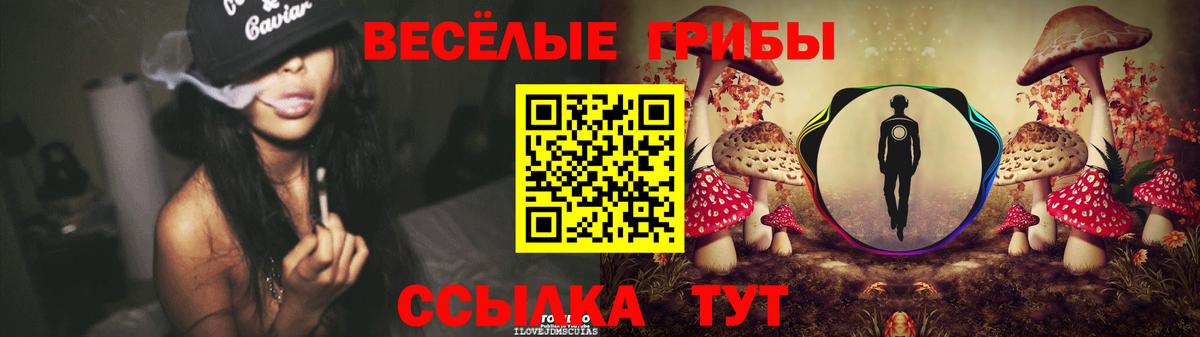 Свободный  Галлюциногенные грибы ЛСД  Псилоцибиновые грибы Magic Shrooms  Вход с VPN 